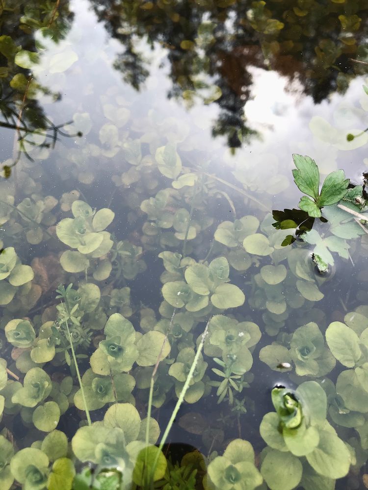 Photograph by Витольда Осина