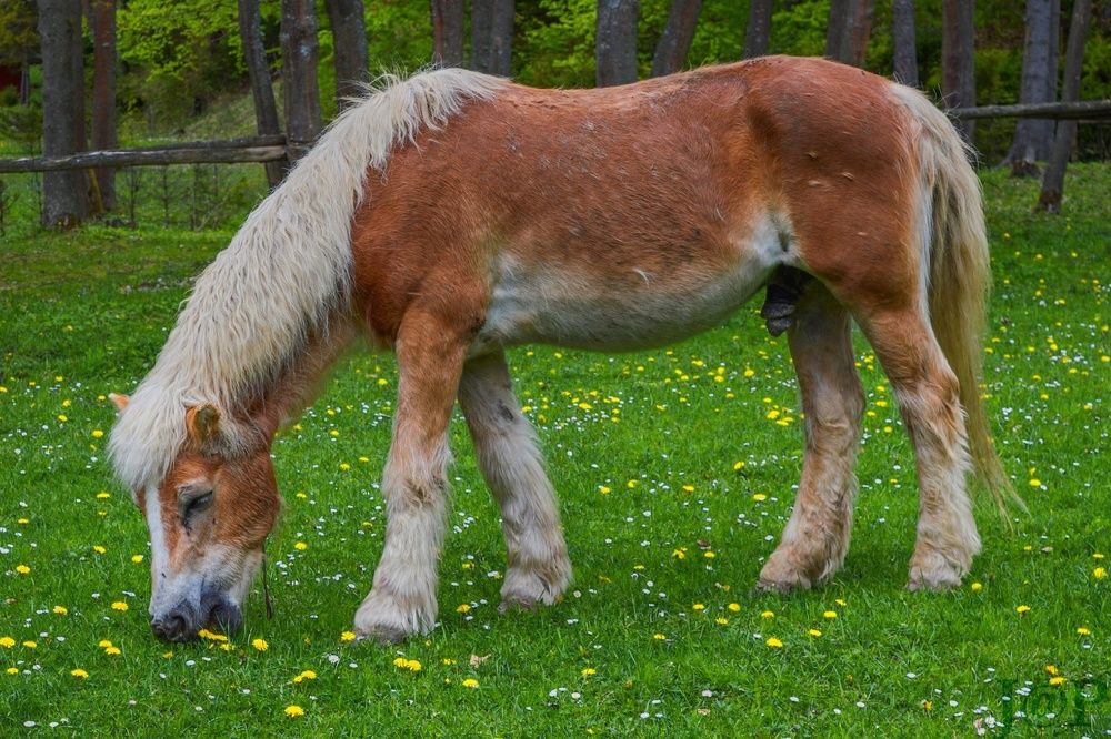 Photograph by Jozef Potocký