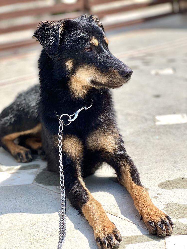 Photograph by Megha Sharma