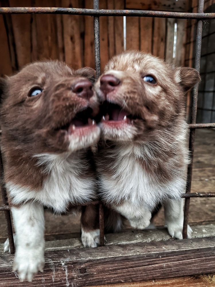 Photograph by Ксения Олина