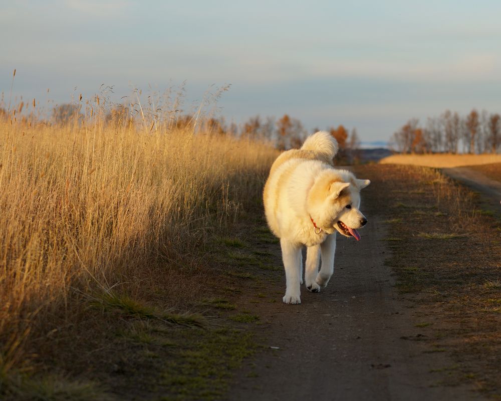 Photograph by Ирина Баландина