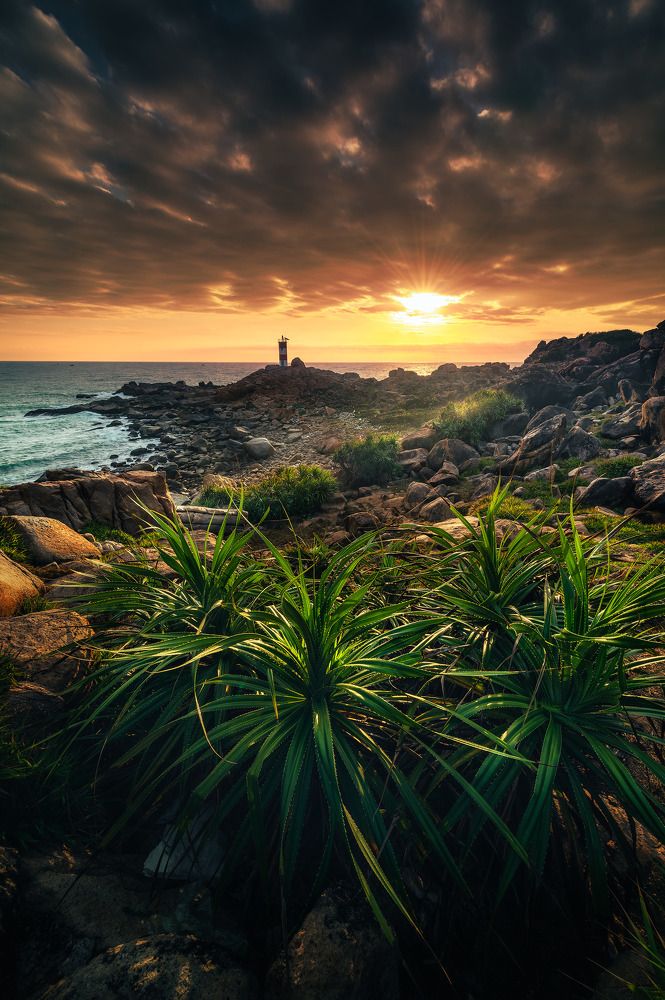 The sun looks like the smile of the world creator granted to all species