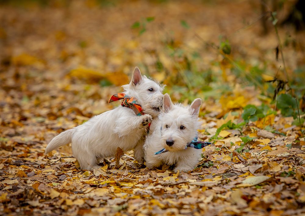 Photograph by Katja Sen