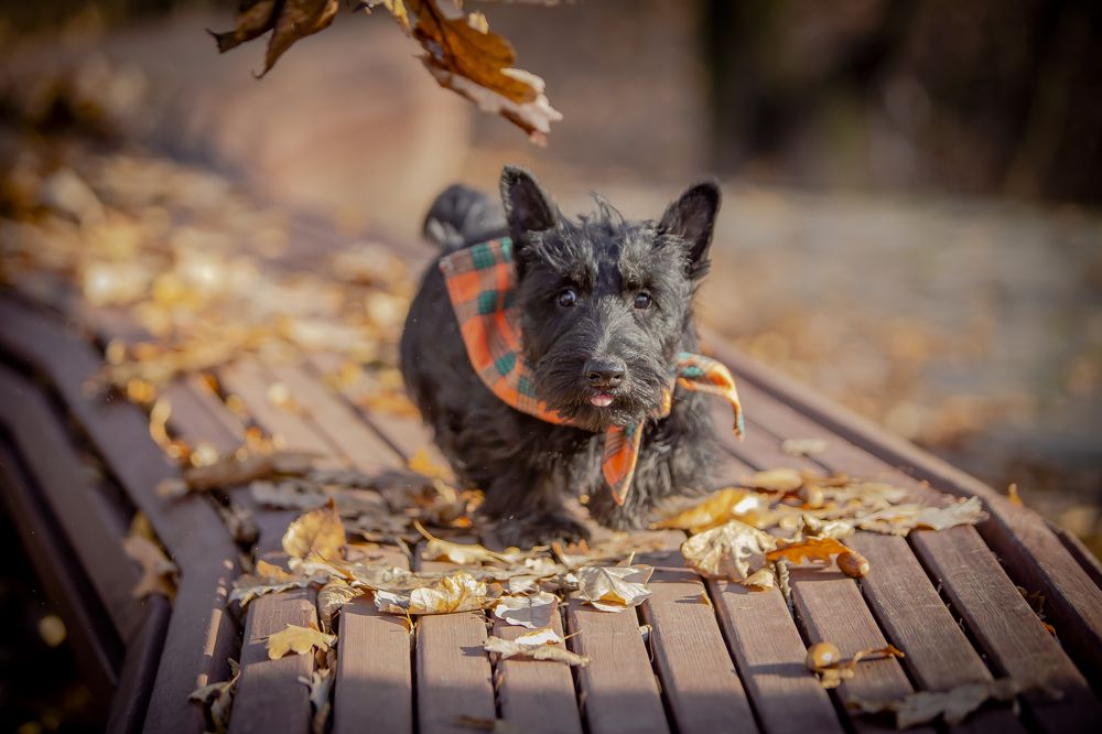 Photograph by Katja Sen