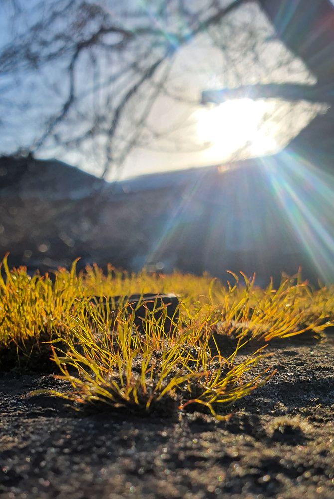 Photograph by Анастасия Трофимовская