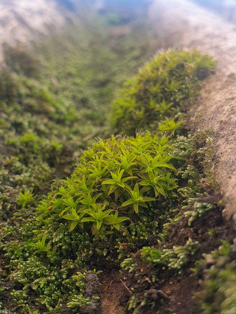 Photograph by Анастасия Трофимовская