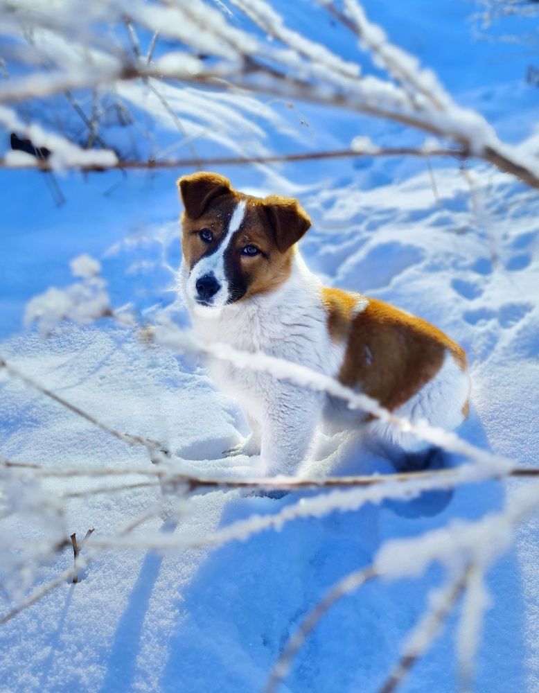 Photograph by Ольга Веселова