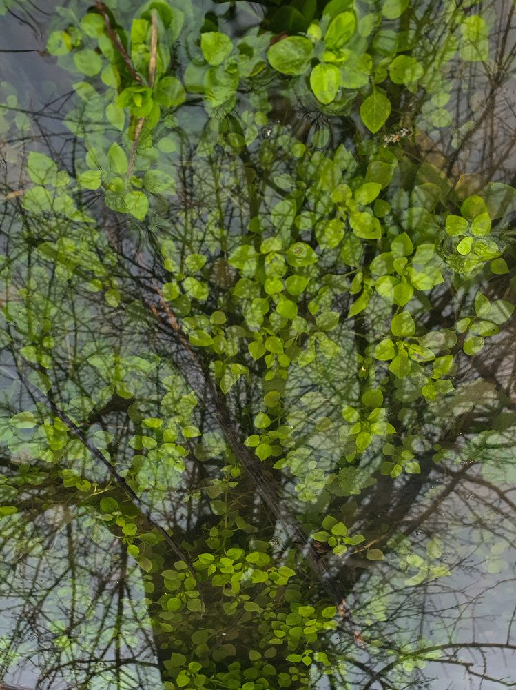 Photograph by Анастасия Трофимовская