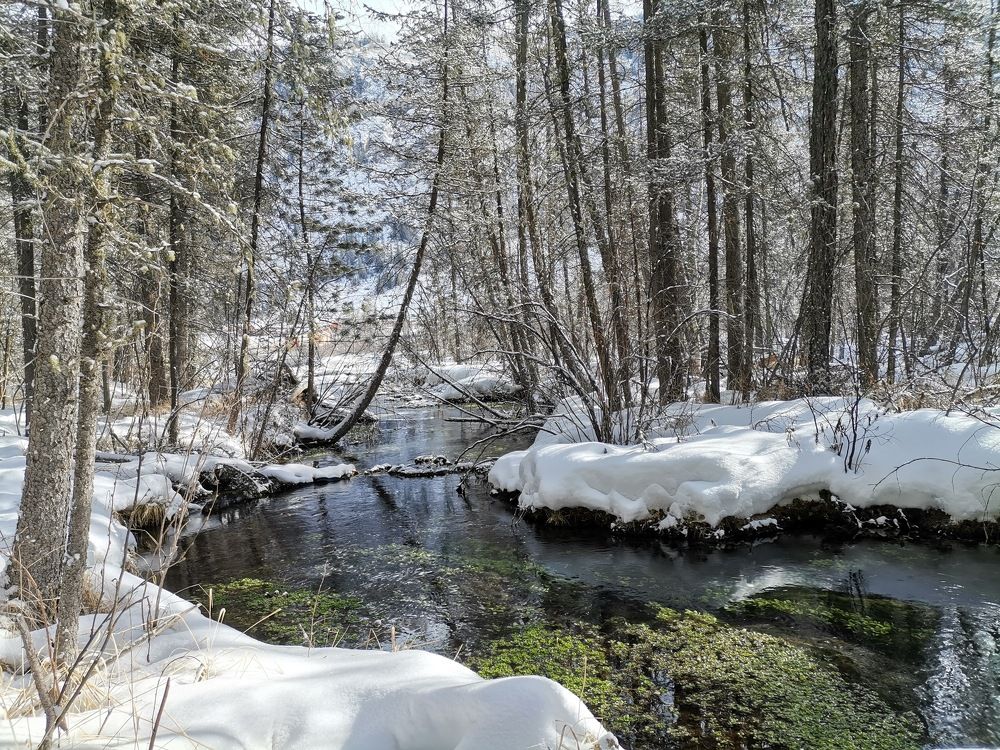 Photo #7483924