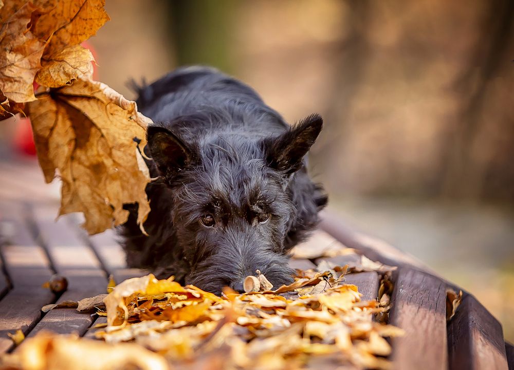 Photograph by Katja Sen