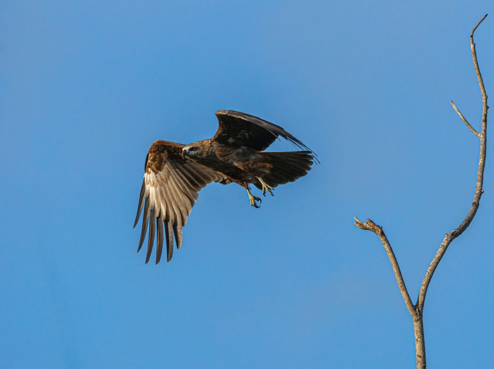Photograph by Kushan Madushanka Sonnadara