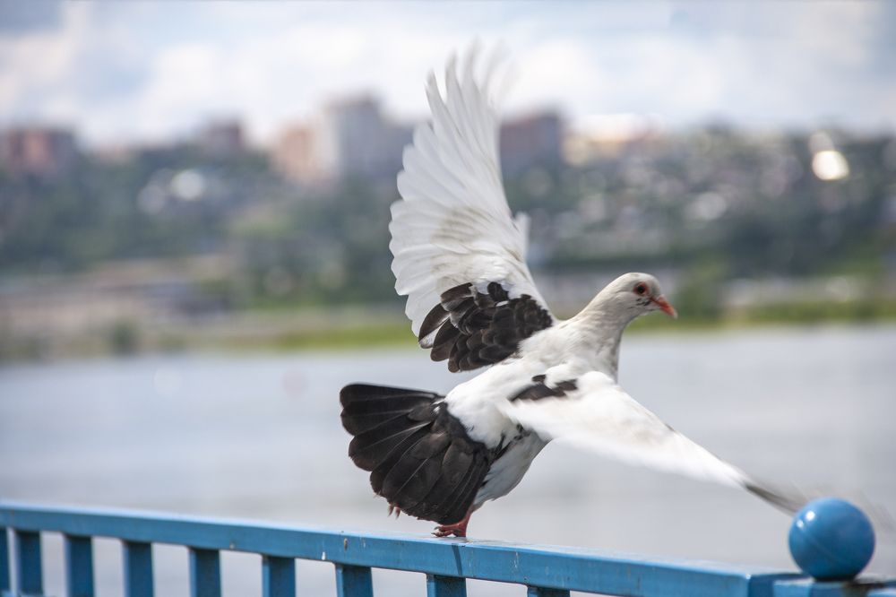 Photograph by Мария