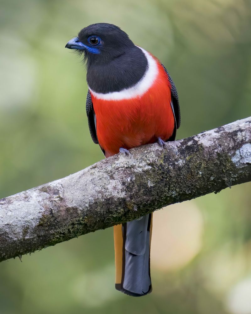 Photograph by Jayavignesh Hariharan