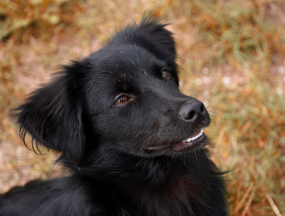 Photograph by Ольга Ларизадех