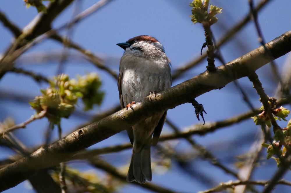 Photograph by Gregor Kobilica