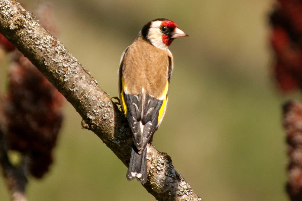 Photograph by Gregor Kobilica