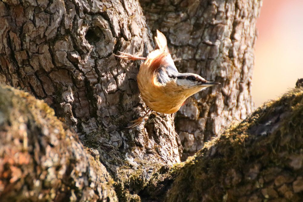 Photograph by Gregor Kobilica