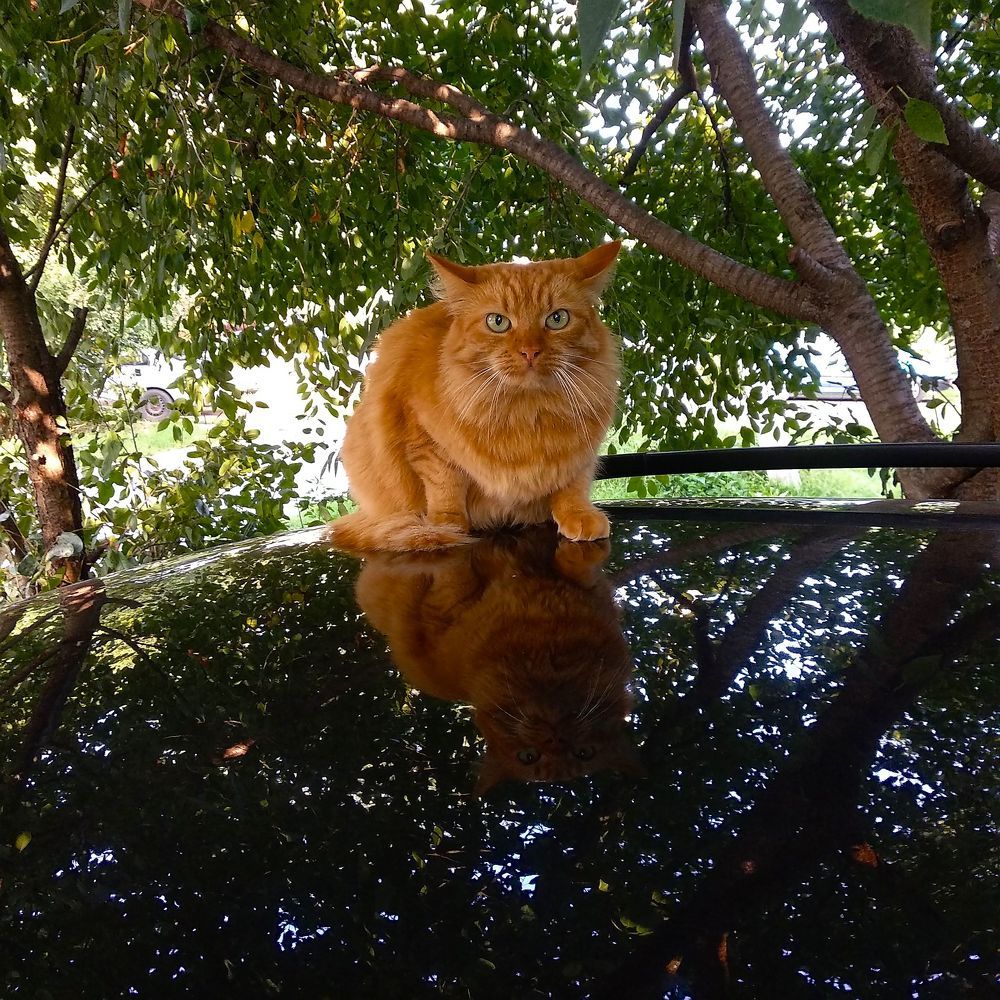 Photograph by Усевалад Куліш