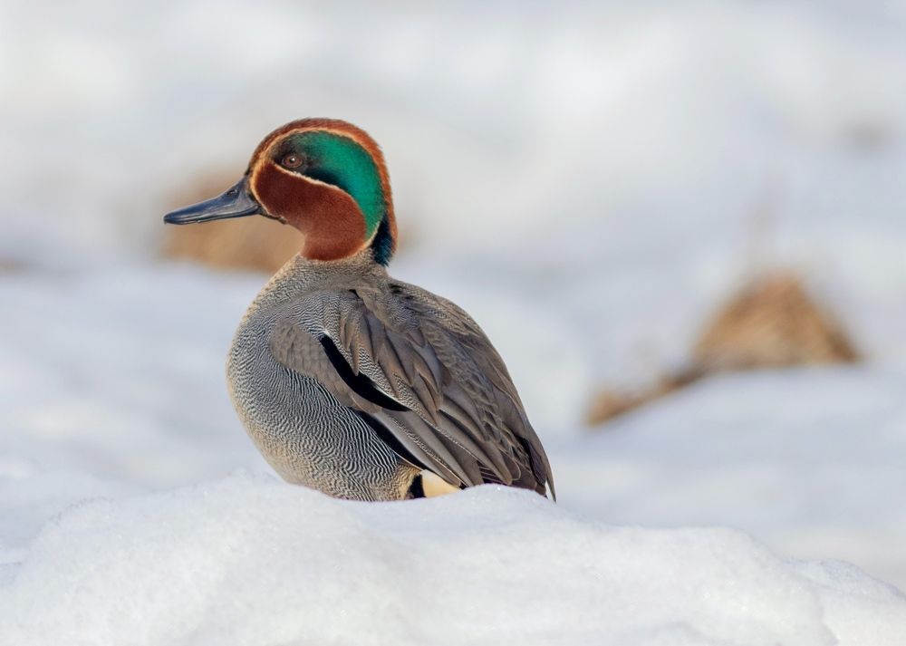 Photograph by Павел Краснослободцев