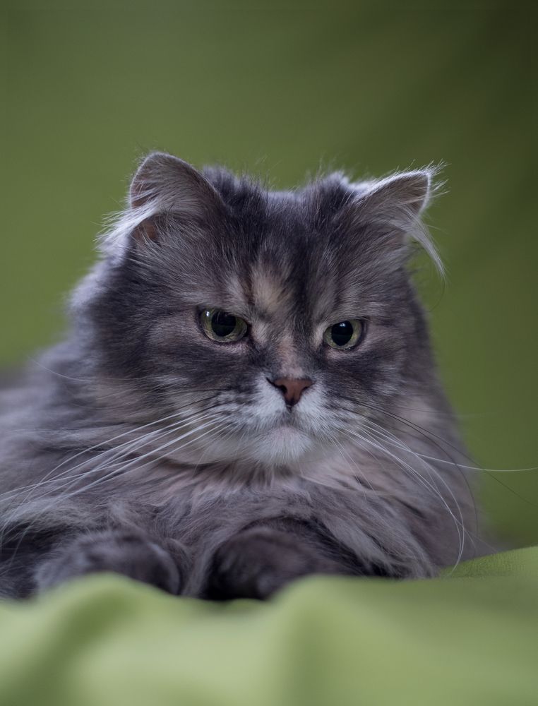 Photograph by Светлана Михеева