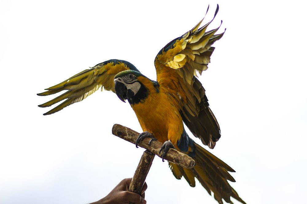 Фотография автора Mahshad Razavi