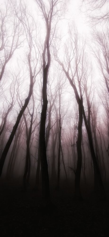 Photograph by Рымаров Александр