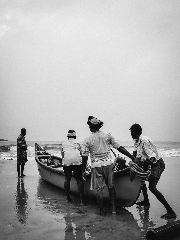 Photograph by Venkatesh r Kamath