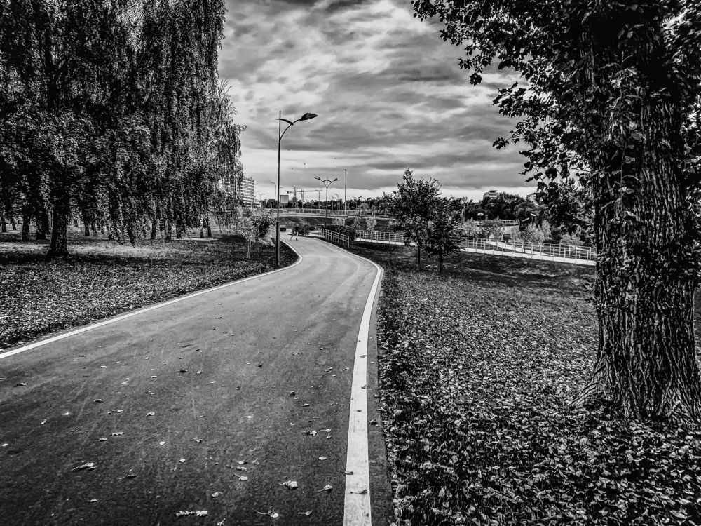 Photograph by Алексей Молчан