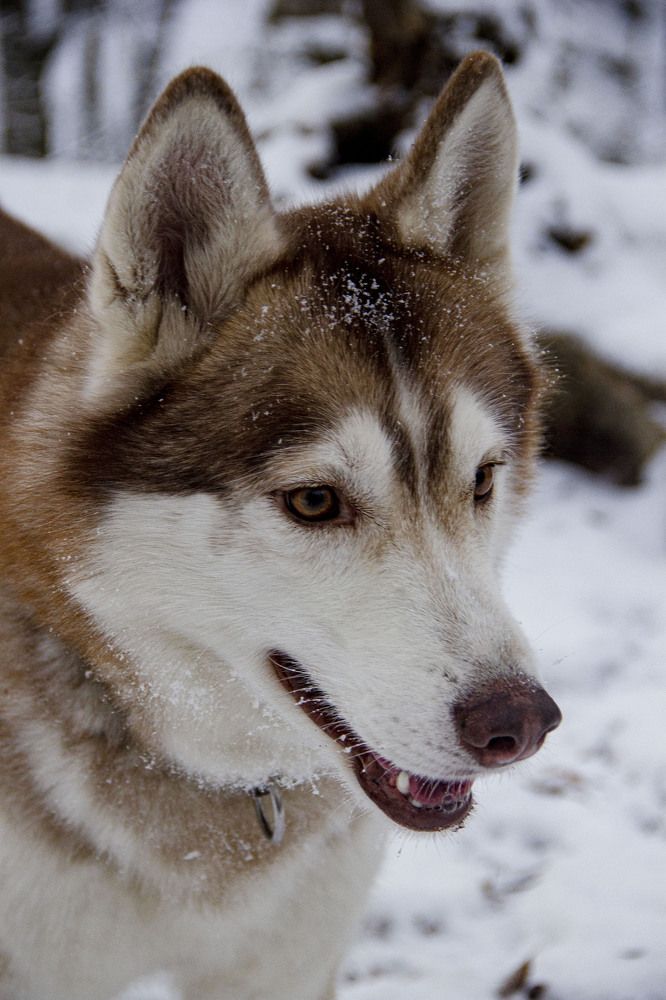 Photograph by Алексей Марченков