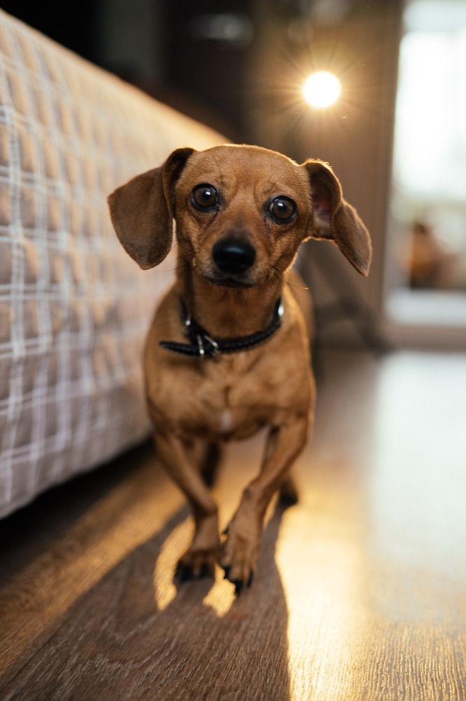 Photograph by Елена Молодзяновская