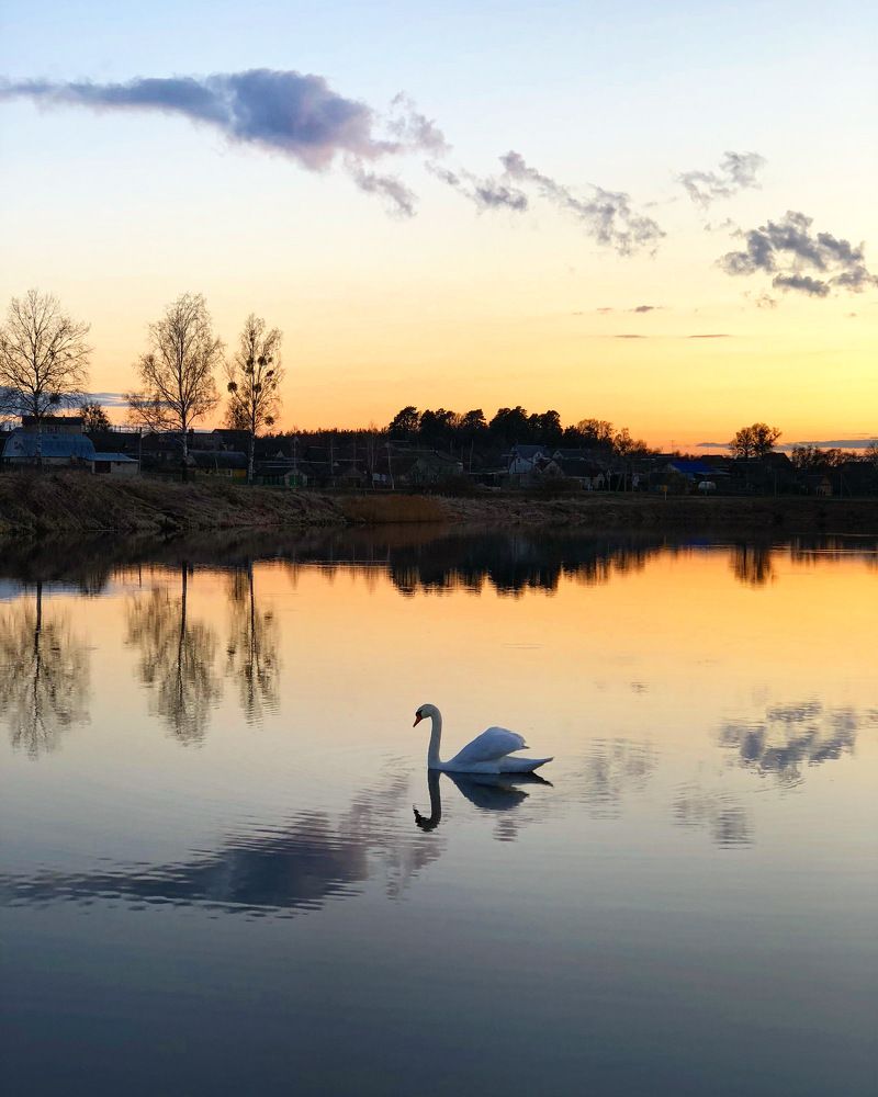 Photograph by Лариса Акинчиц