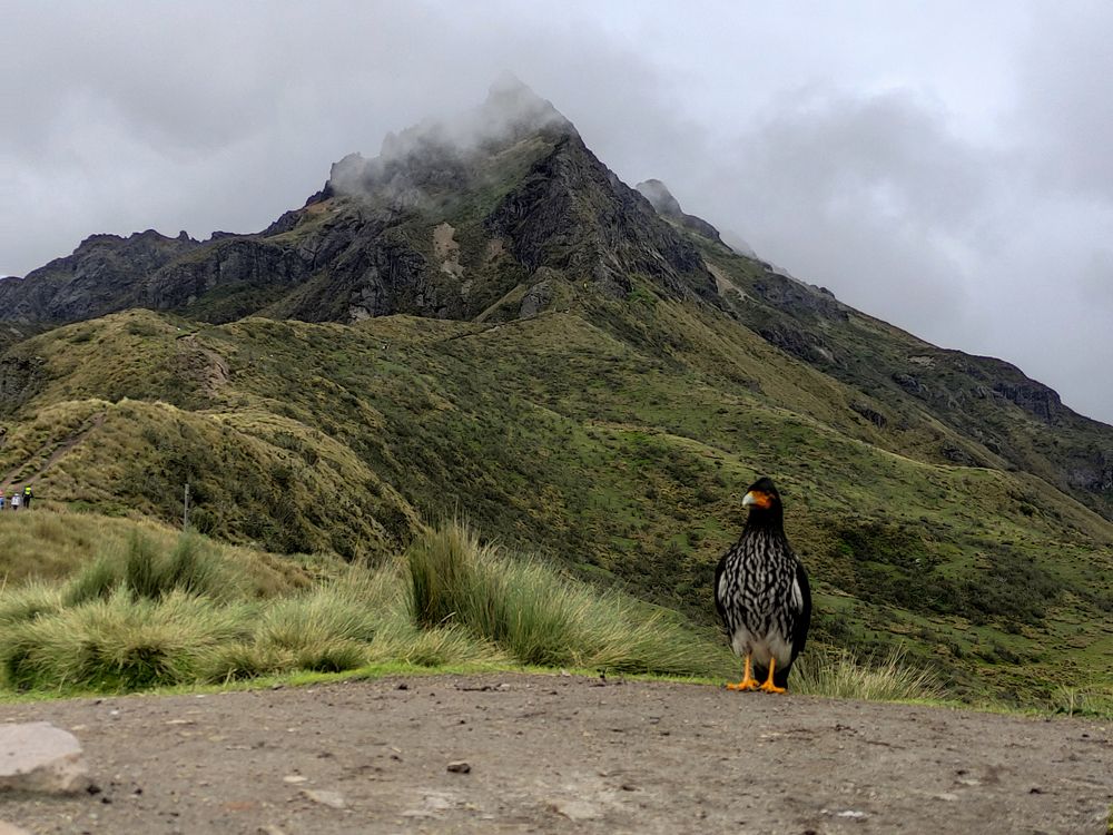 Photograph by Xavier Velasco