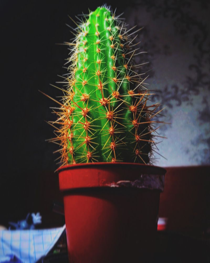 Photograph by Никита Орехов