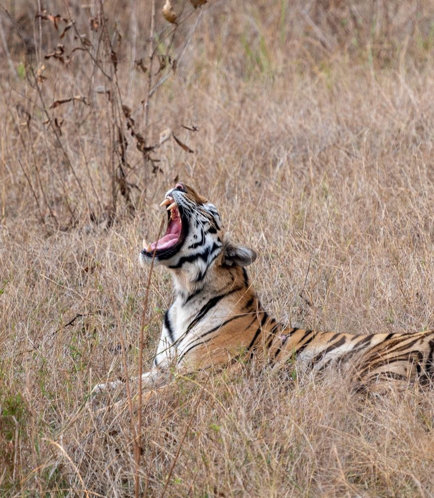 Photograph by Mantosh Kumar