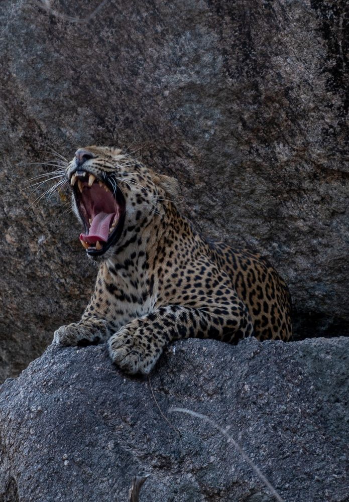 Photograph by Mantosh Kumar