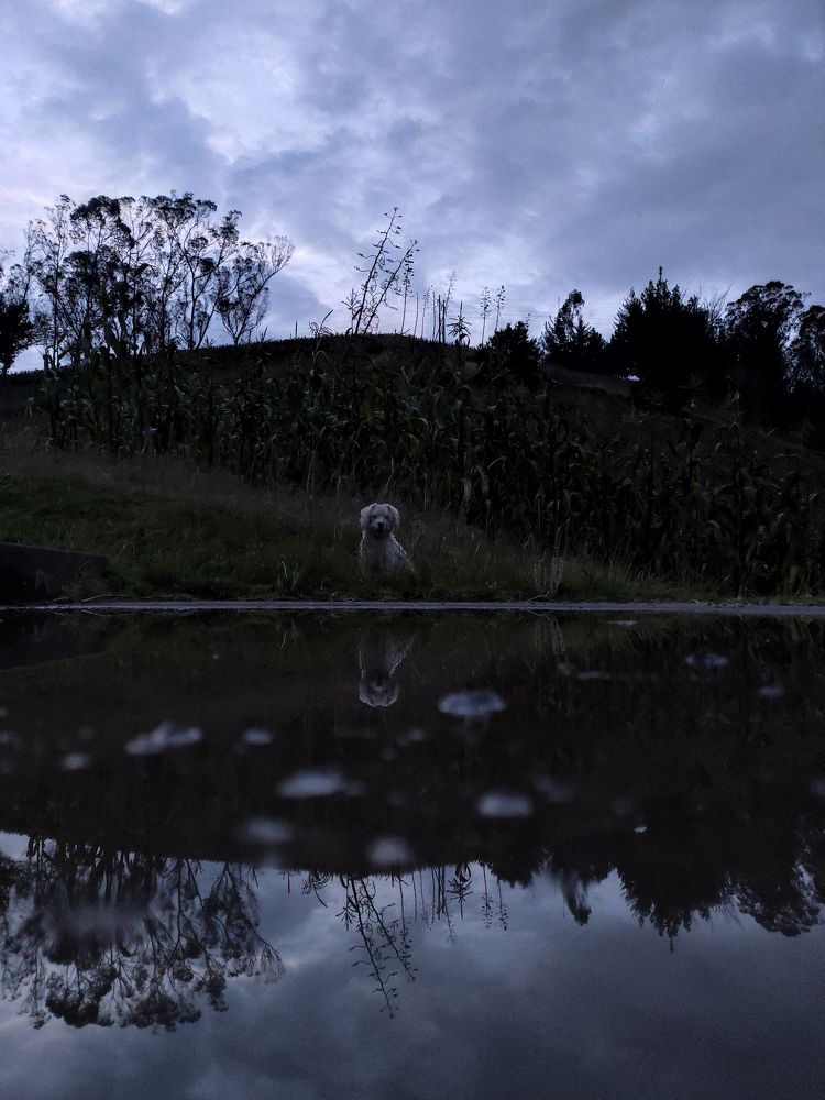 Photograph by Xavier Velasco