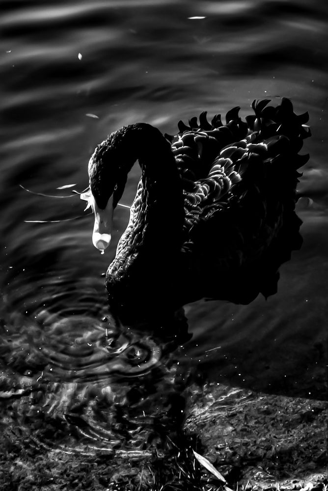 Photograph by Екатерина