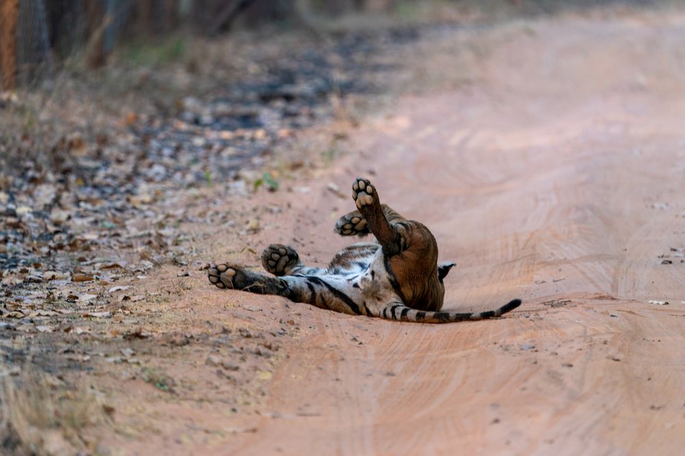 Photograph by Mantosh Kumar