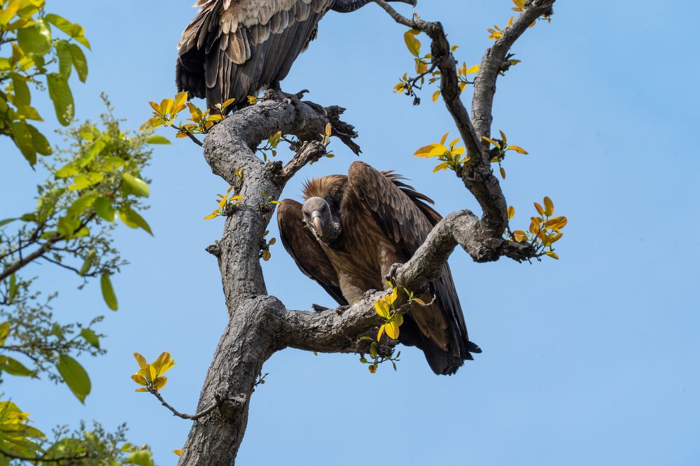 Photograph by Mantosh Kumar