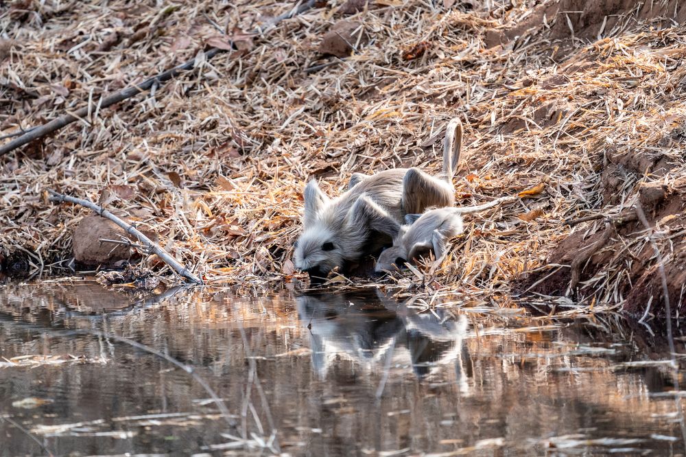 Photograph by Mantosh Kumar