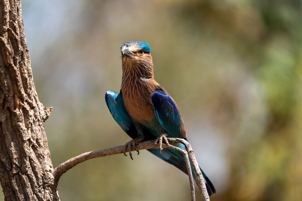 Photograph by Mantosh Kumar