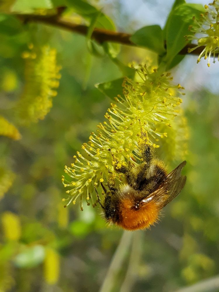 Photograph by Алла