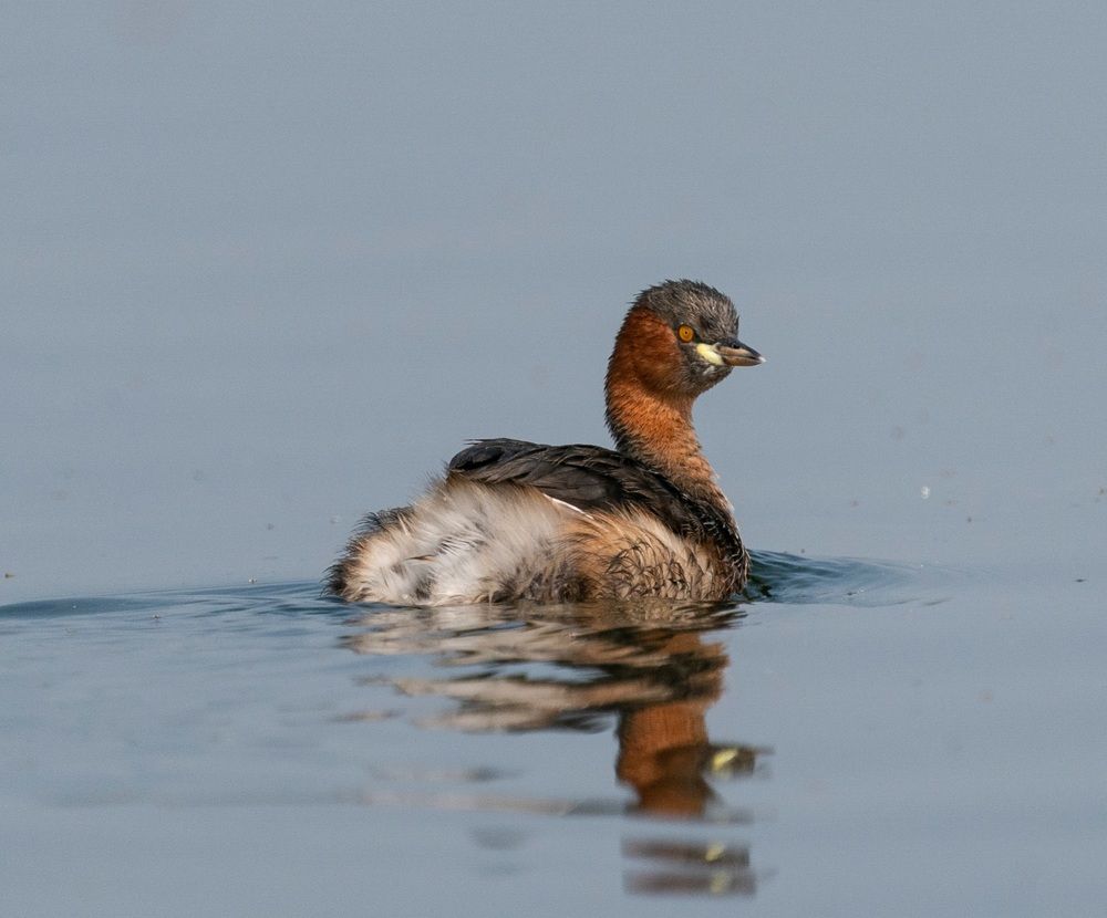 Photograph by Mantosh Kumar