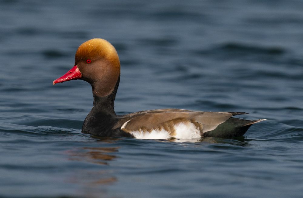 Photograph by Mantosh Kumar