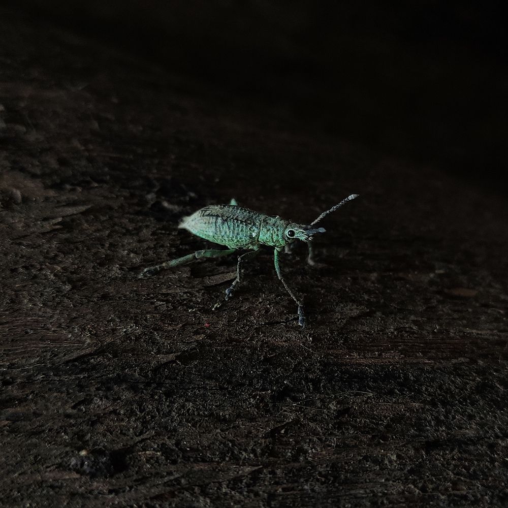 Photograph by Xavier Velasco