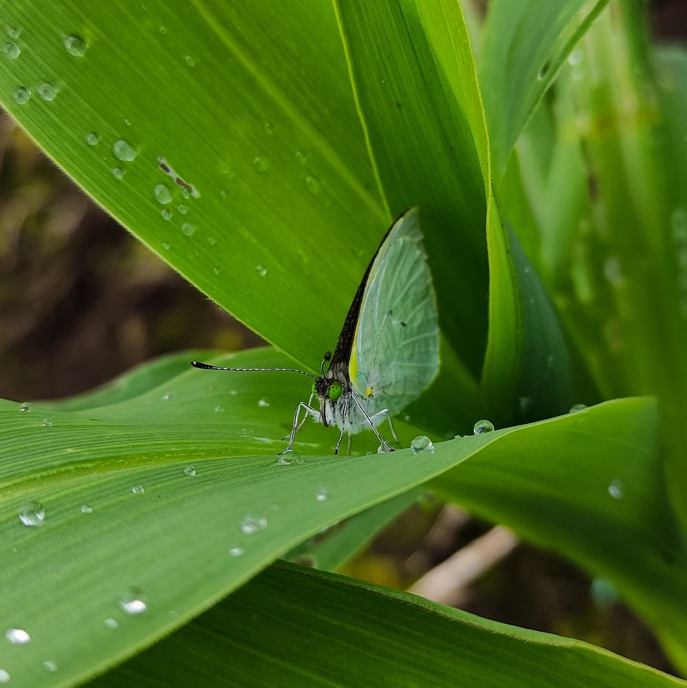 Photograph by Xavier Velasco