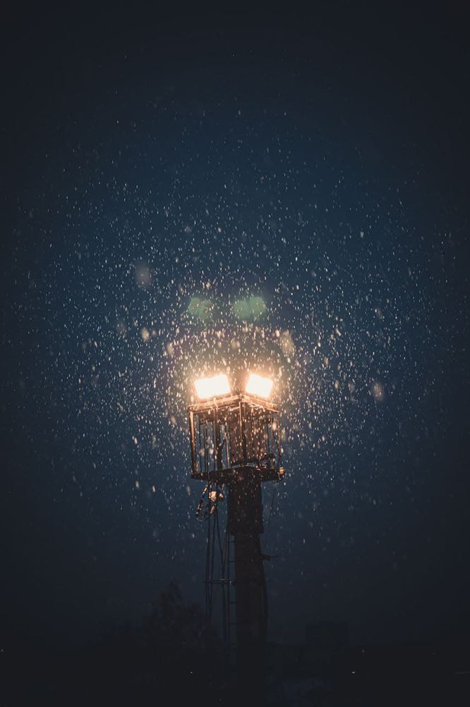 Photograph by Anna Borodina