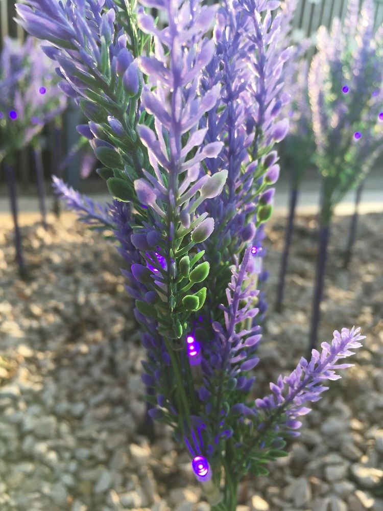 Фотография автора Ксения