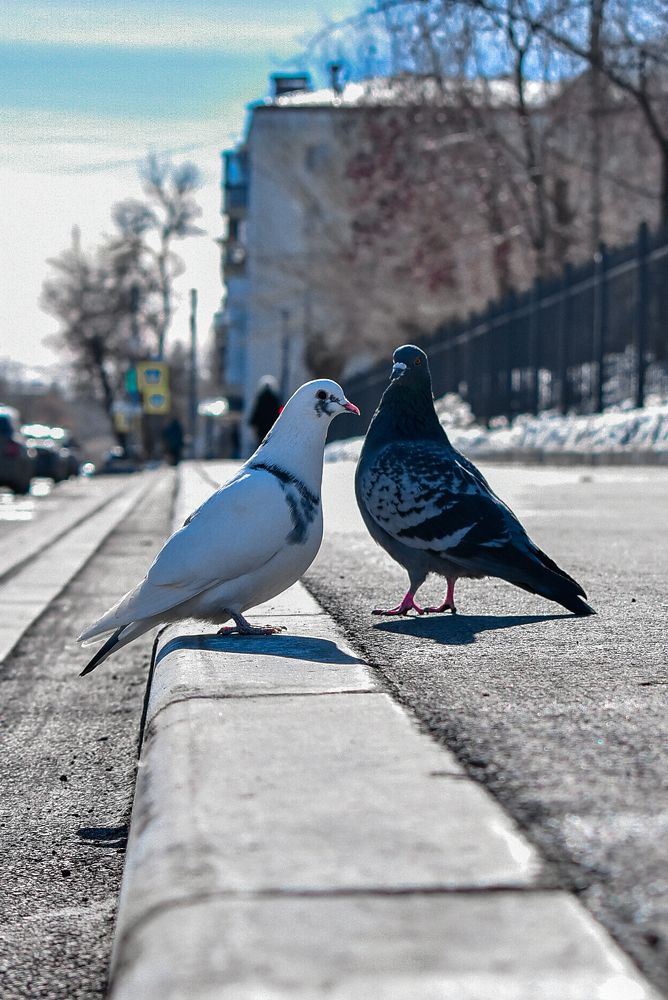 Photograph by Anna Borodina