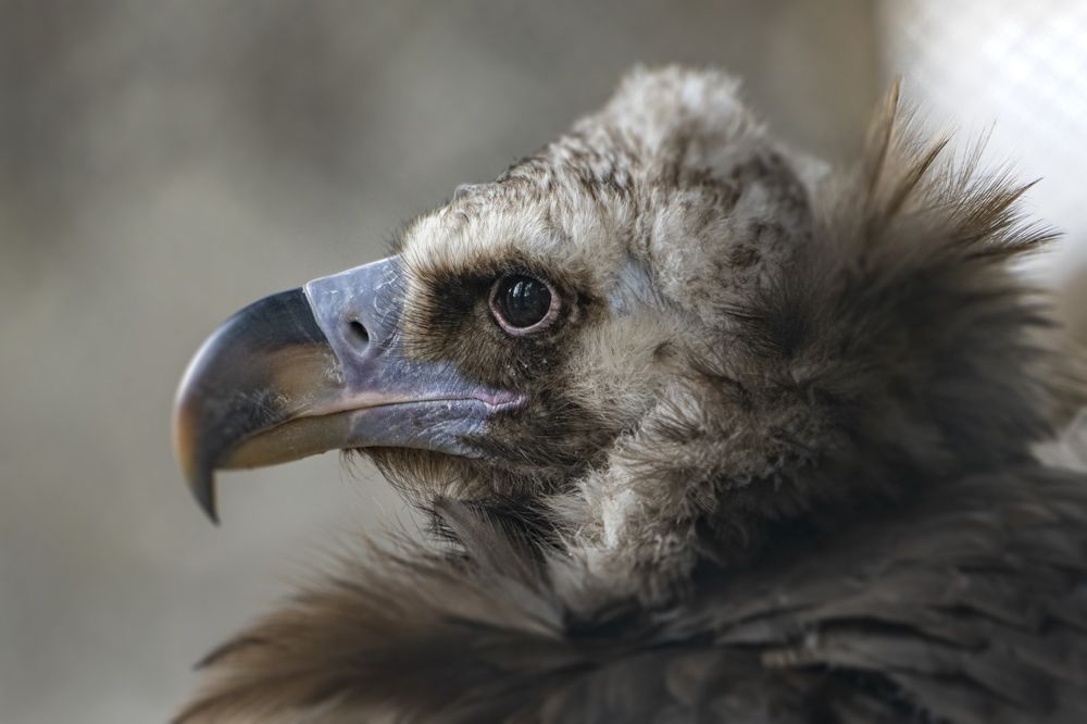 Photograph by Юрий Чернов